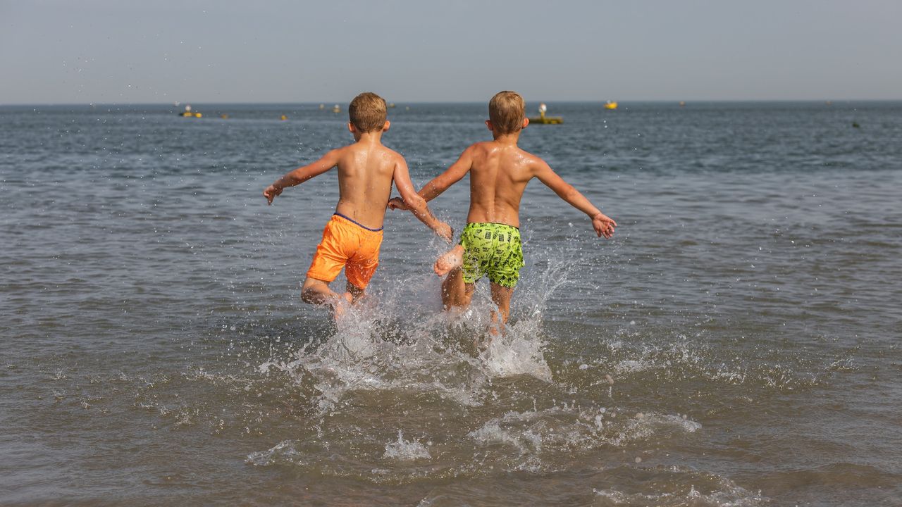 AreaSummer1KM AreaSummer1KM